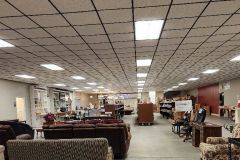 2023-01-wiregrass-habitat-and-restore-1