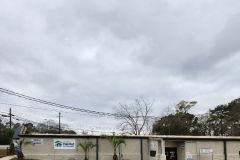 2023-01-wiregrass-habitat-and-restore-11