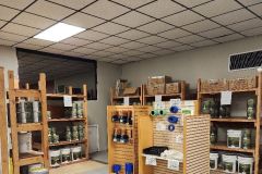 2023-01-wiregrass-habitat-and-restore-12